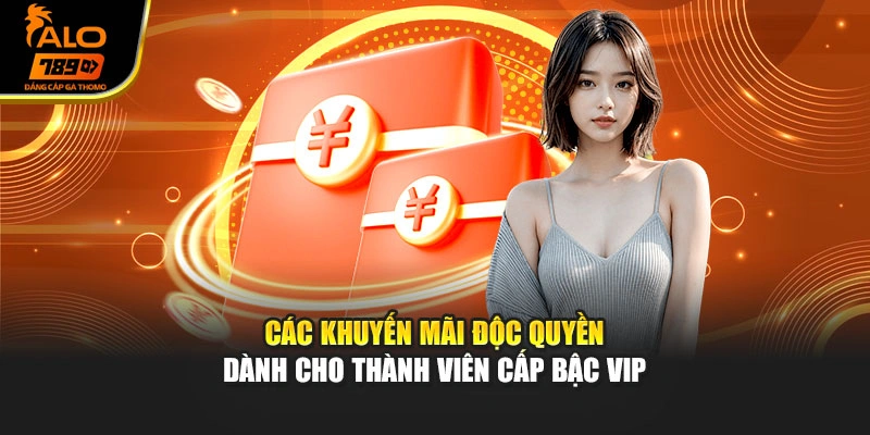 Các khuyến mãi độc quyền dành cho thành viên cấp bậc VIP