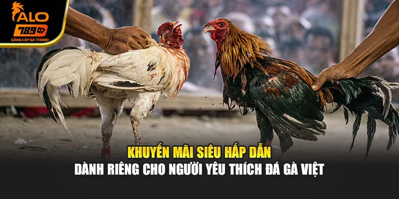 Khuyến mãi siêu hấp dẫn dành riêng cho người yêu thích đá gà Việt