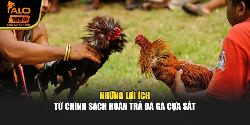 Những lợi ích từ chính sách hoàn trả đá gà cựa sắt
